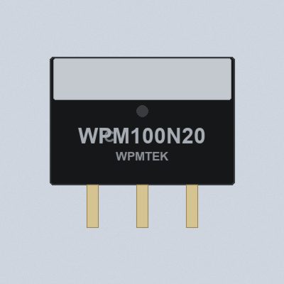 WPM100N20